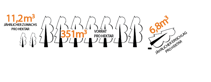 Vorrat Zuwachs und Einschlag